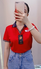 SET BỘ ÁO POLO PHOEXIN CỔ VIỀN KÈM QUẦN BÒ NỮ