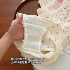 ĐỒ LÓT - SET 10C QUẦN CHIP TONE SÁNG