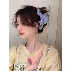 PHỤ KIỆN - KẸP TÓC NGOẠM BỒNG BỀNH MÀU