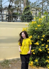 SET ÁO THÊU KÈM CHÂN VÁY ZIP CHO NỮ (Xả 94k)