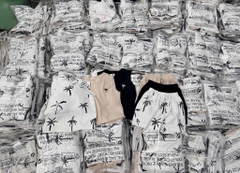 SÉT 3 BỘ COTTON CO GIÃN CÂY DỪA CHO BÉ TRAI (XẢ 119k)
