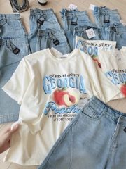 SET ĐÀO FRESH MIX NGỐ BÒ LI CHÉO NỮ