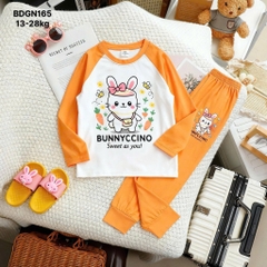 SET BỘ DÀI COTTON XUẤT DƯ KITTY BUNNY ELSA SIZE ĐẠI BÉ GÁI