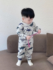 SET 3 BỘ DÀI TAY KHỦNG LONG BÉ TRAI