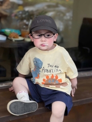 BỘ KHỦNG LONG ÁO COTTON QUẦN CỘC BÉ TRAI SẴN
