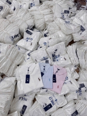 ÁO SƠ MI NỮ CỘC TAY POLO THÊU NGỰA SẴN (SALE 55k)