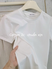 SET BỘ KẺ ỐNG SUÔNG CẠP CHUN PHẲNG MIX ÁO PHÔNG NỮ
