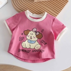 SET 4 ÁO BÉ GÁI NHIỀU MÀU SIÊU XINH