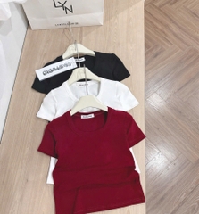 SET 3 ÁO ZIP CỔ U ĐEN TRẮNG ĐỎ NỮ
