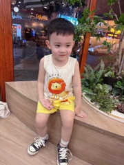 SET 2 BỘ BA LỖ SƯ TỬ VOI HƯƠU BÉ TRAI (SALE 89k)