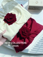 VÁY NƠ ĐÍNH HOA DÁNG DÀI 2 LỚP NỮ