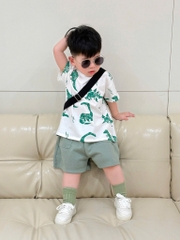 SET KHỦNG LONG XANH LÁ BÉ TRAI