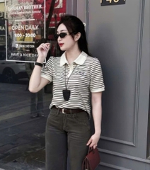 ÁO POLO LASCOTE KẺ PHỐI CỔ NỮ