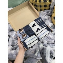 ĐỒ LÓT - SET 10 ĐÔI TẤT COTTON CUTE BÉ TRAI BÉ GÁI