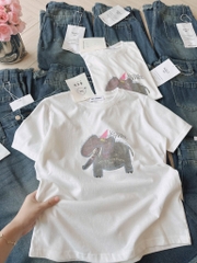 SET NGỐ JEANS NỮ CHÂN RUA MIX PHÔNG GIẤY VOI SẴN