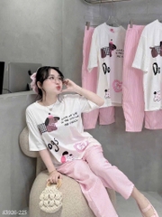 SET BỘ HOẠ TIẾT CHÓ QUẦN KẺ HỒNG NỮ SẴN (xả 79k)