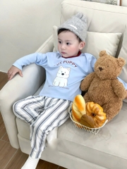 SET 3 BỘ DÀI GẤU HÀN BÉ TRAI HÀN QUỐC SẴN