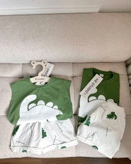 SET KHỦNG LONG XANH BÉ TRAI SẴN