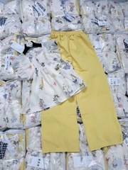 SET CÁNH TIÊN HOẠ TIẾT HOA LÁ CÀNH NỮ SẴN