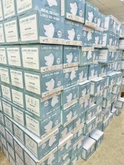 ĐỒ GIA DỤNG 3 HỘP K.T LOKA 5D MIX MÀU