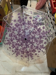 Dù trong suốt 30185
