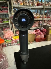 Quạt cầm tay FS-20
