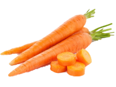 CARROT EXTRACT