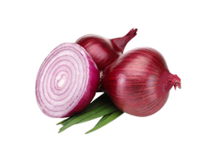 ONION EXTRACT