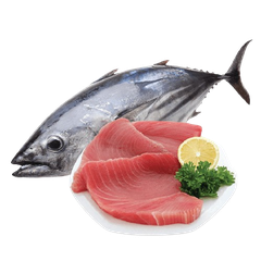 FISH EXTRACT