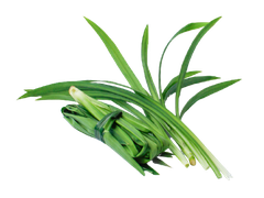 PANDAN FLAVOR