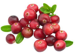 STRAWBERRY EXTRACT