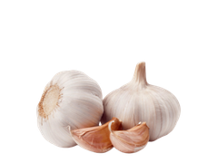 GARLIC EXTRACT