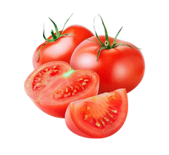 TOMATO SAUCE FLAVOR