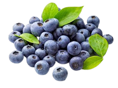 STRAWBERRY EXTRACT