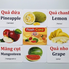 Flash card 19 chủ đề (12*16cm)
