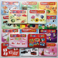 Flash card 19 chủ đề (12*16cm)