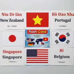 Flash card 19 chủ đề (12*16cm)