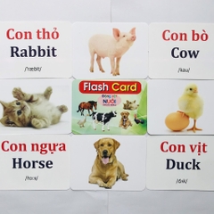 Flash card 19 chủ đề (12*16cm)