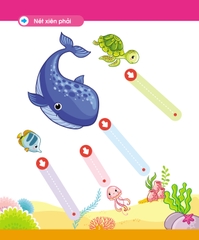 Bộ vở viết xóa được 5 cuốn tặng kèm 2 bút có đầu xóa