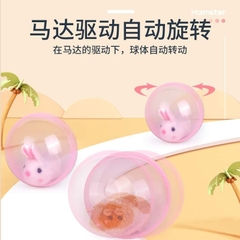 Trứng chuyển động 605A