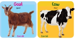 Myfirst picture book (truyện tranh tư duy hình ảnh cho bé bộ 10q)