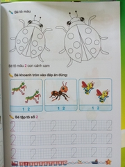 Túi 8 cuốn phát triển IQ 4-5