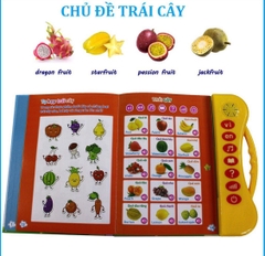 Sách quý song ngữ cho trẻ em Thanh Nga nút trong