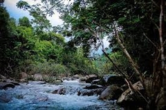 TOUR 3 - Vườn quốc gia Tam Đảo– Khu rừng sinh thái