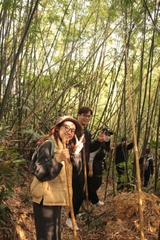 Tour 2 - Tour Chùa Tam Đảo 2