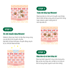 Combo 2 Kem Dưỡng Da Nâng Tone Và Ngừa Nếp Nhăn Miinskin - Miinskin Whitening Glowy Toning Cream