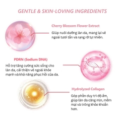Combo serum và kem dạng thạch PDRN Hoa anh đào MIINSKIN