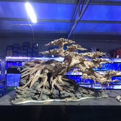 Cây giả trang trí bể cá