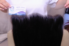 Frontal