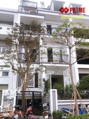 Thi công công trình phào chỉ Pu trơn tại biệt thự k4 Ciputra